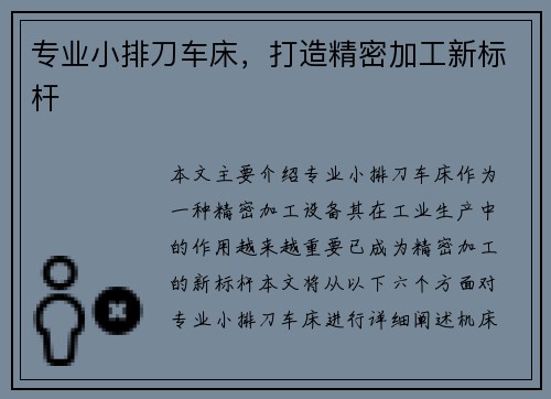 专业小排刀车床,打造精密加工新标杆 专业小排刀车床,打造精密加工新标杆